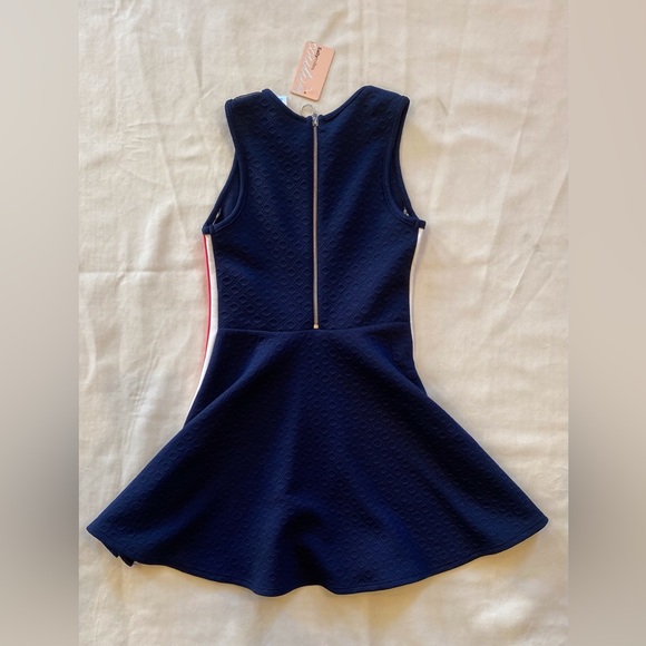 NWT Sally Miller Couture Sidney Stripe Flare Dress - Picture 2 of 3